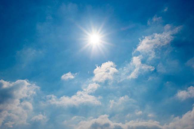 Vitamin D Vitamin D