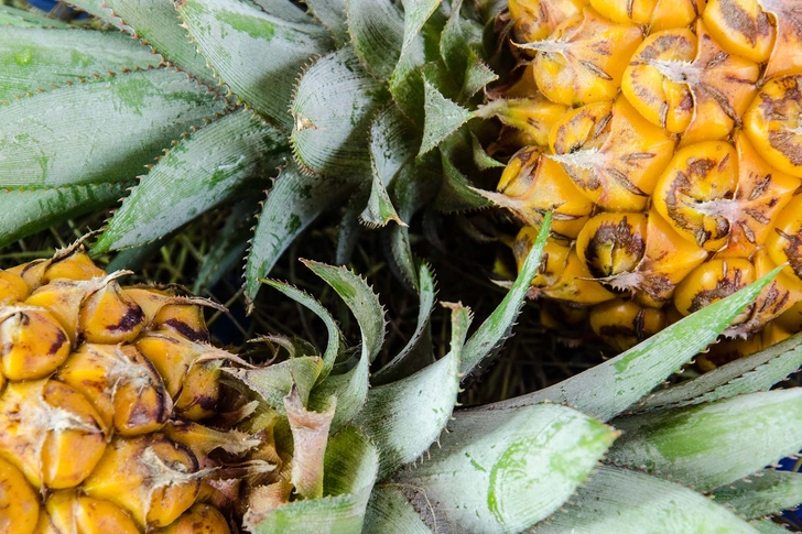 Bromelain