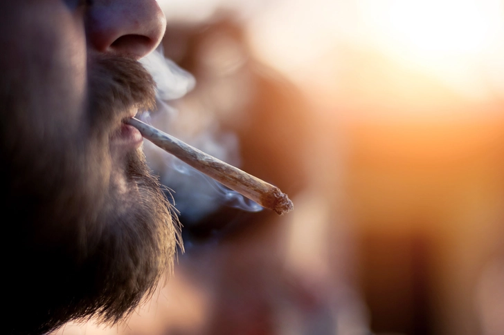 Cannabis Cannabis