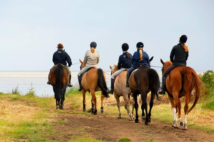 Horse Around