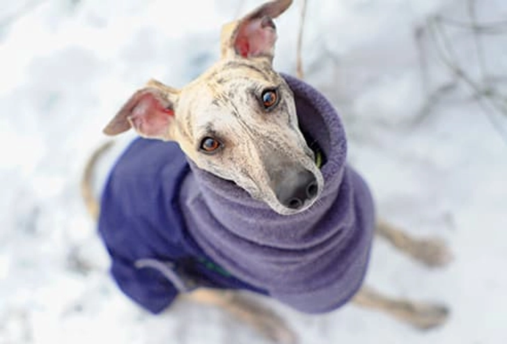 Provide a Winter Wardrobe