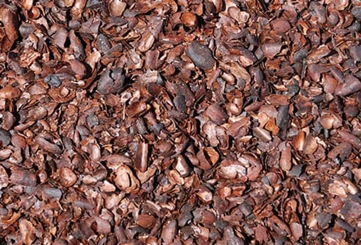 Skip the Chocolate Mulch