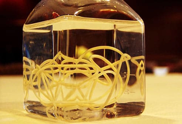 Guinea Worm Guinea Worm