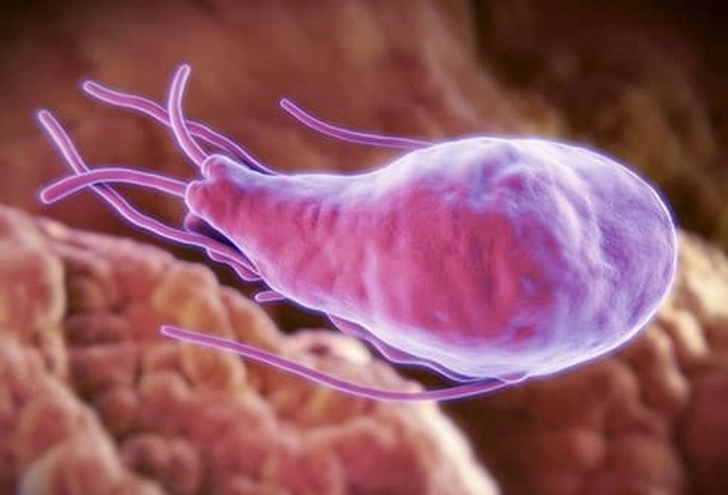 Giardia