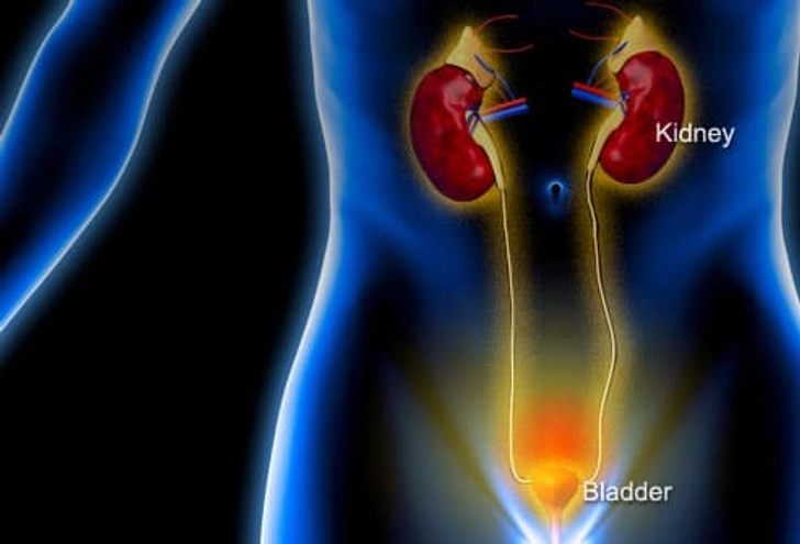 Urinary Tract Infection