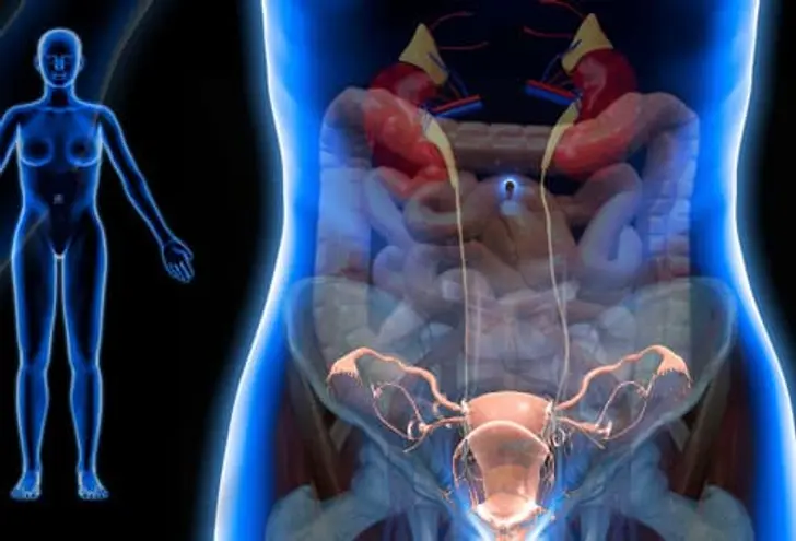 What Is Pelvic Pain? What Is Pelvic Pain?