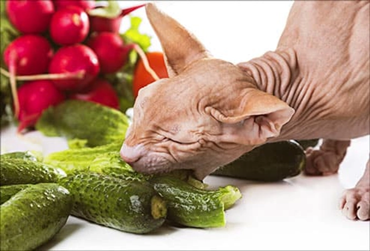 Veggies