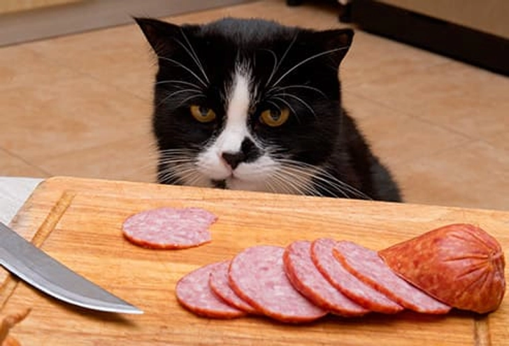 Meat