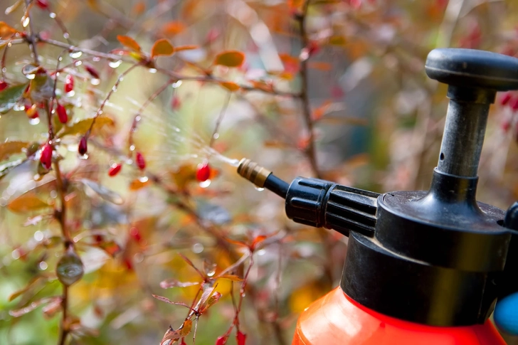 Pesticides Pesticides