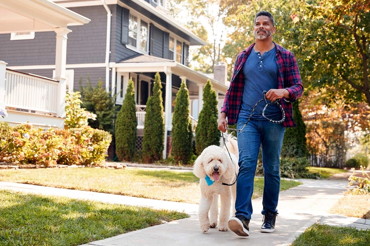 Pets Keep You Active Pets Keep You Active