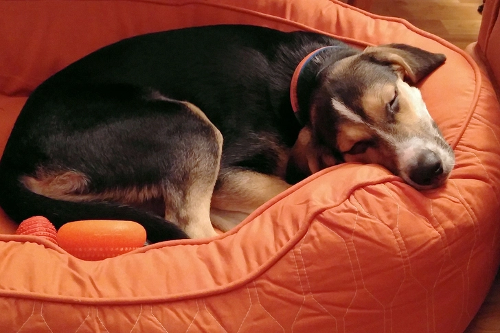 More Sleep, Fewer Migraines More Sleep, Fewer Migraines
