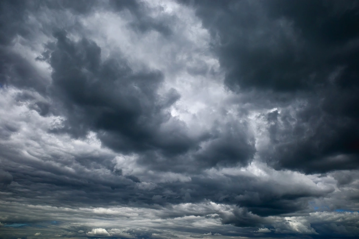 Avoid Wild Weather