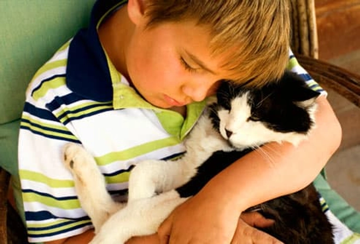 The Best Pet Treat? You The Best Pet Treat? You