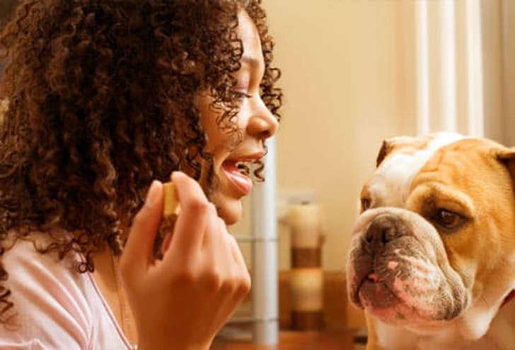 Training With Pet Treats