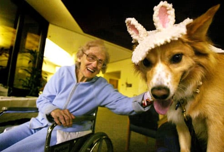 Animal-Assisted Therapies