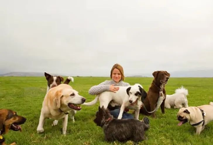 Stay Well With Your Animals