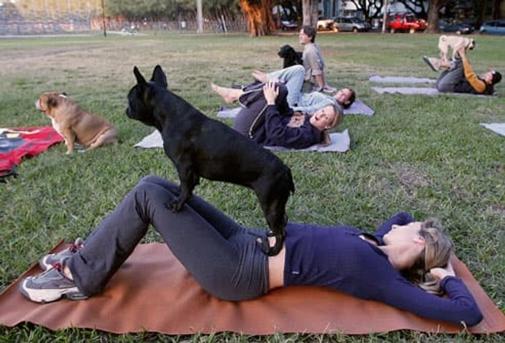 A Faithful Exercise Buddy