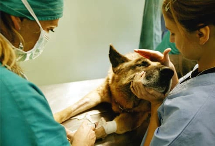 Partners in Better Cancer Care