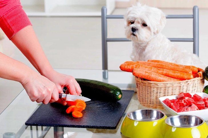 Pros and Cons of Homemade Food