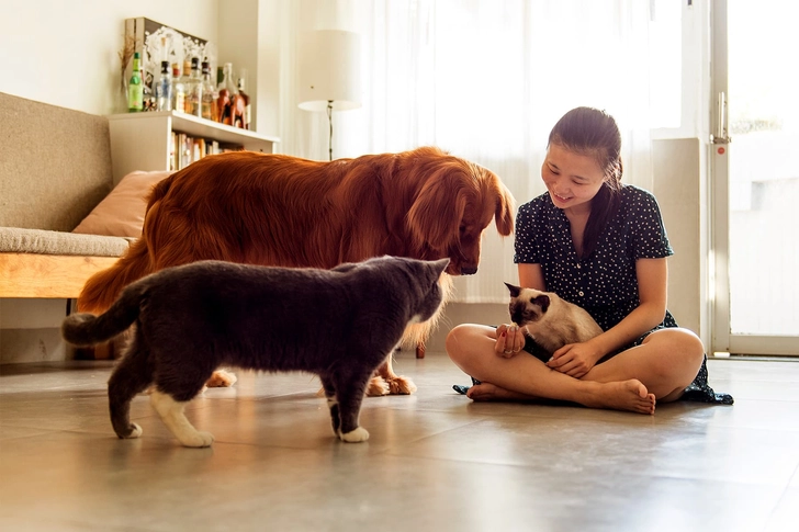 Any Pet Can Have an Allergy