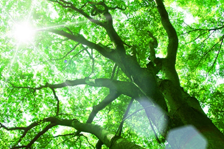 Symptom: Sensitivity to Light