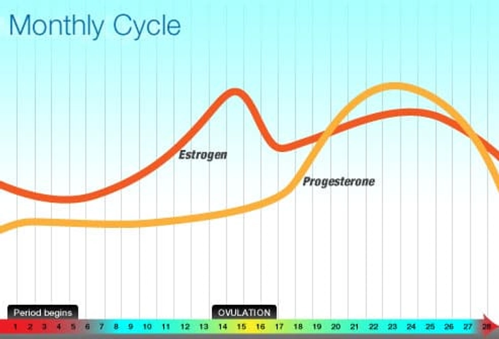 What Causes PMS? What Causes PMS?
