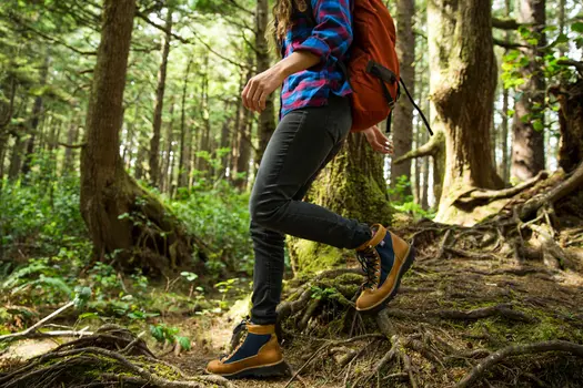 photo of Woman trekking in forest