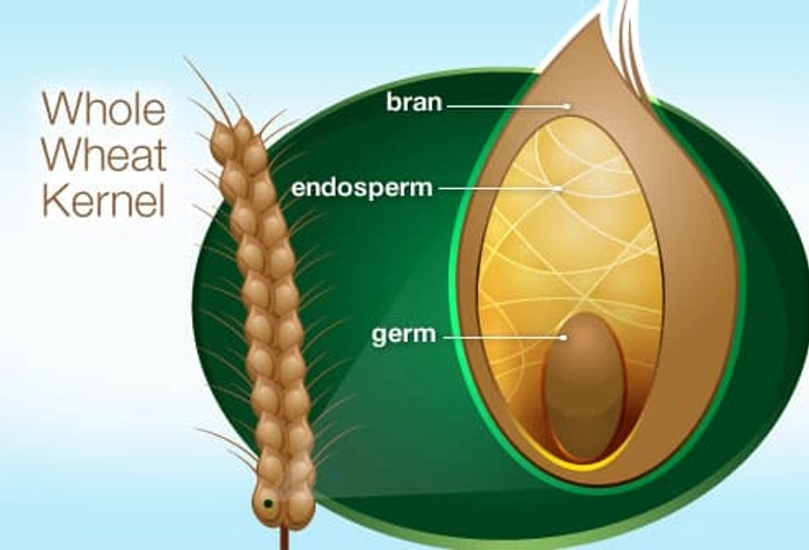 What Are Whole Grains? What Are Whole Grains?