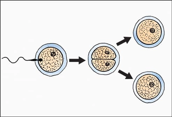 Identical Multiples