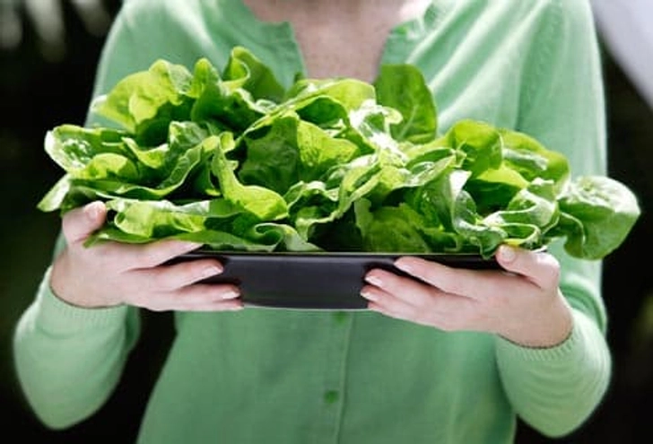 Take Folic Acid