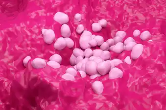 What Is EGFR-Positive NSCLC?