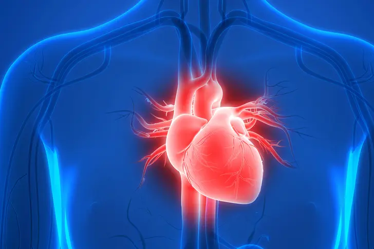 Kick Butts for Your Heart