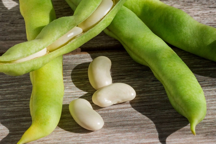 Lima Beans Lima Beans