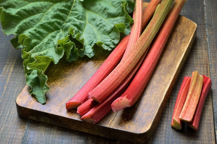 Rhubarb Leaves