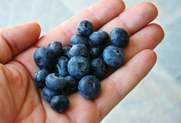 Fresh Fruit Fresh Fruit
