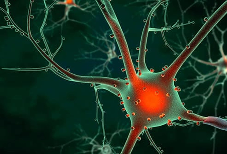 Peripheral Neuropathy Peripheral Neuropathy