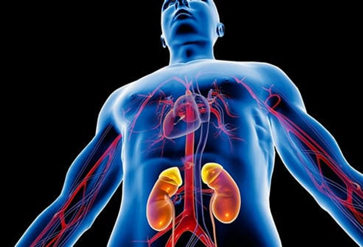 Kidney Disease
