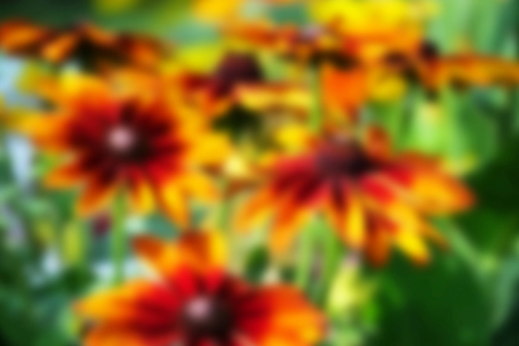 Cataract Symptom: Blurry Vision