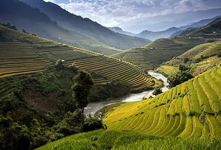 Global Grain