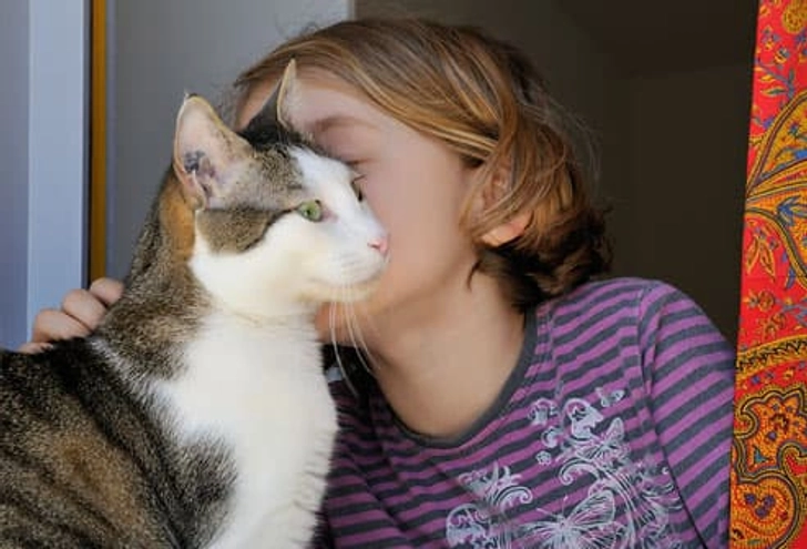 Catching Ringworm From Pets