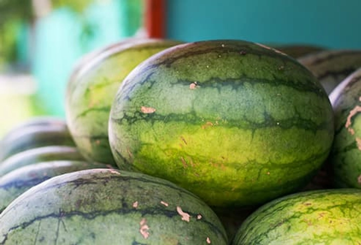 Watermelon Watermelon