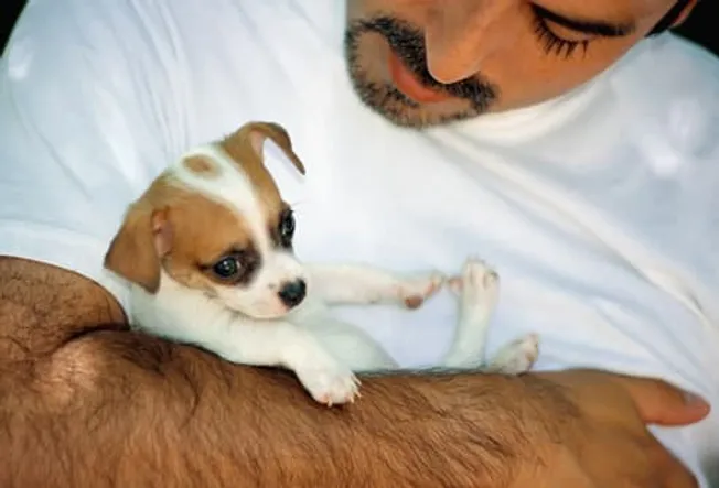 A Caring Guy Is a Hot Guy