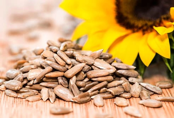 Sunflower Seeds Sunflower Seeds