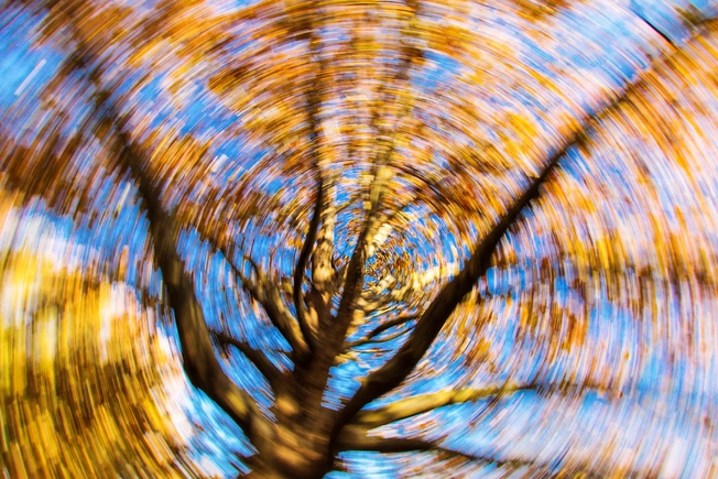 You Feel Dizzy
