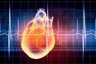  Vasodilator Side Effects