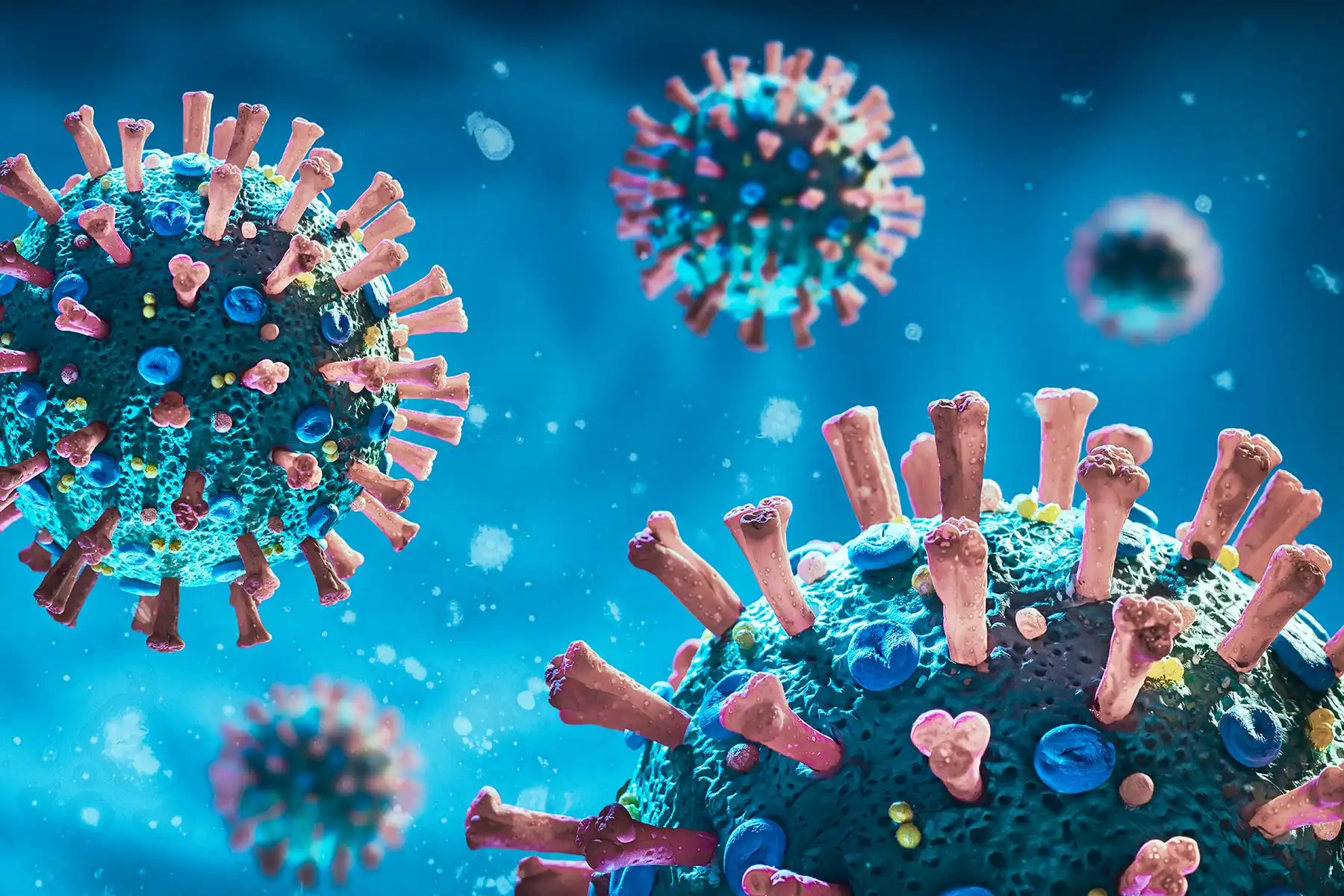 photo of COVID 19 virus