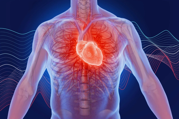 A Healthier Heart A Healthier Heart