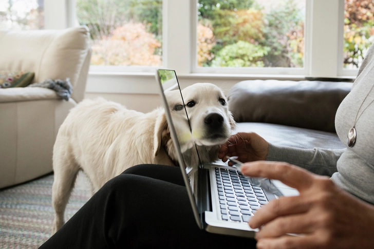 Build an Online Community