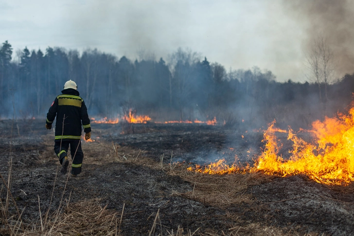 Wildfires