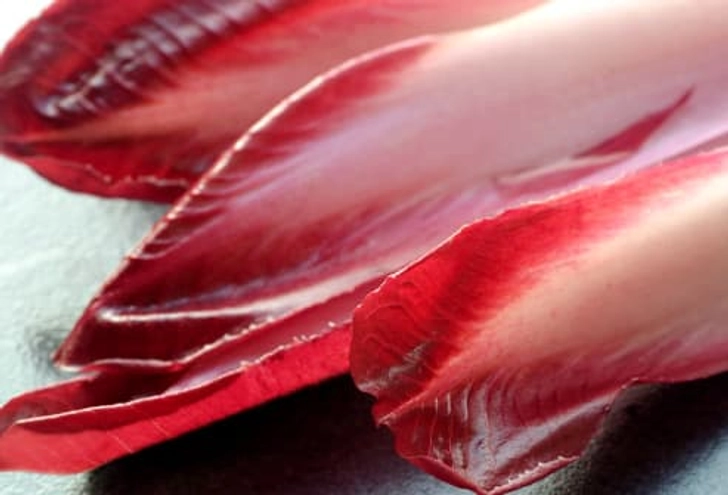 Endive Endive
